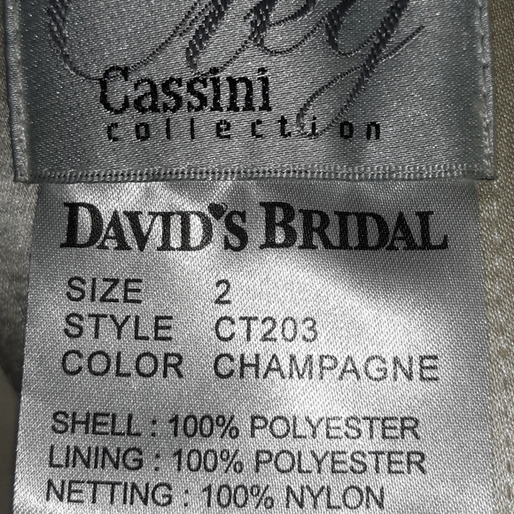 OLEG CASSINI COLLECTION WEDDING DRESS FROM DAVID'S - Picture 9 of 12
